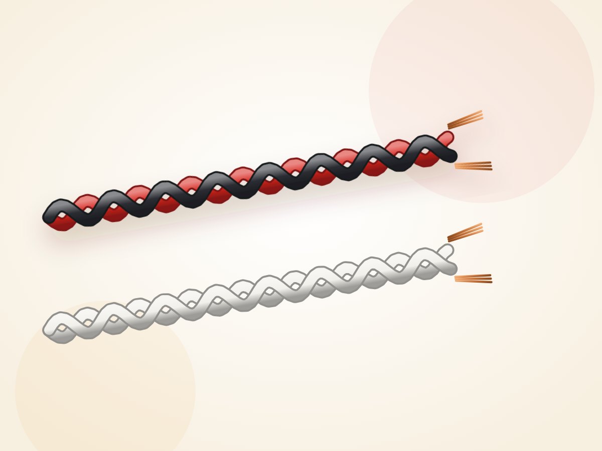 Twin Twisted Cables – Kanak Wires & Cables
